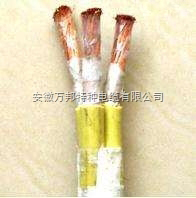 DJFGP DJFPG屏蔽硅橡膠電纜