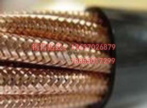 （WDZ系列）低煙無鹵計(jì)算機(jī)電纜