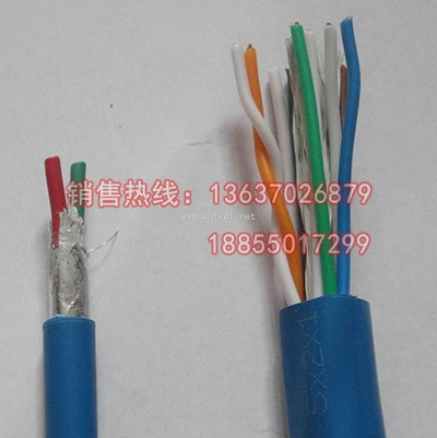 IA-DJF46GPGR本安防爆計算機電纜 