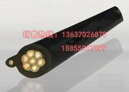 電動(dòng)葫蘆鋼絲電纜
