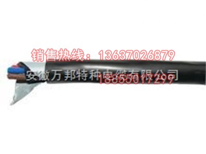 FF22高溫鎧裝電纜*ZR-FFRP耐高溫電纜