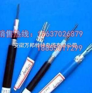 交聯(lián)聚乙烯絕緣船用控制電纜