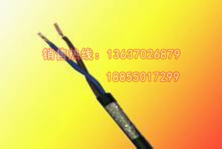 高溫補償導線KX-GA-FPVP ZR-KX-CSFVR ZR-KX-CSFPVP