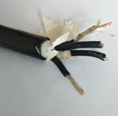 IA-DJYDPYD（R）P低煙無鹵計(jì)算機(jī)電纜